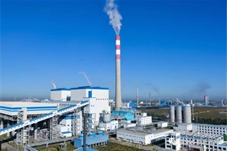 内蒙古骏成新能源科技有限公司年产900吨碳纳米管及1.8万吨锂离子电池正负级导电剂项目